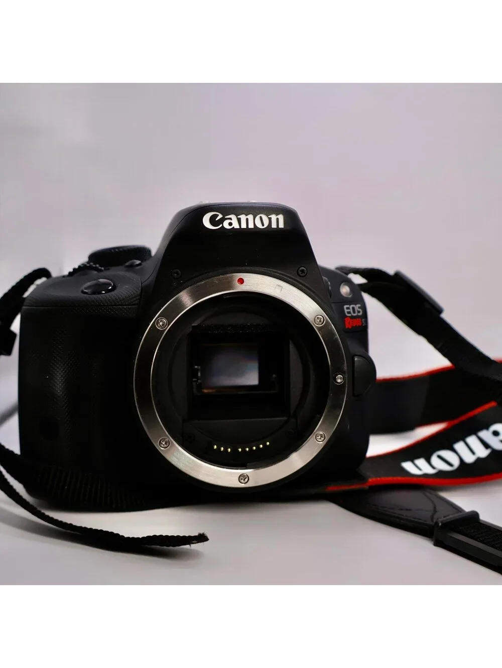 Canon DSLR SL1 Camera with 3 Lenses, Batteries and Bags - Excellent!